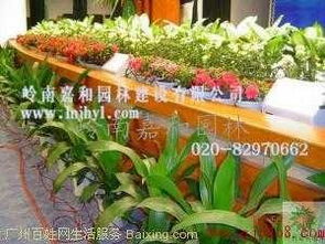 嶺南嘉和園林 科學(xué)城植物租賃與綠化養(yǎng)護的專業(yè)供應(yīng)商